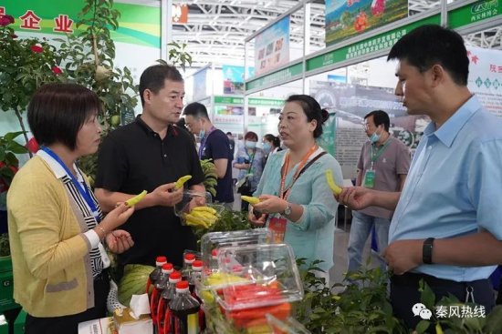 兴平农产品亮相中国（西安）国际林博会