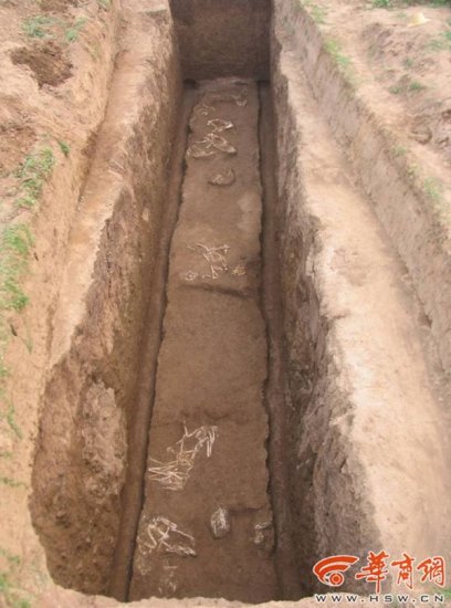 秦始皇祖母墓出土疑似长臂猿遗骸 将进行DNA研究