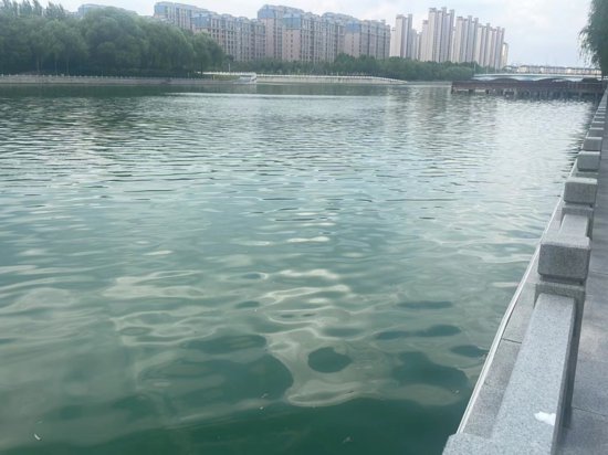 办实事|<em>河南郑州</em>网友：河道水质好多了，感谢！