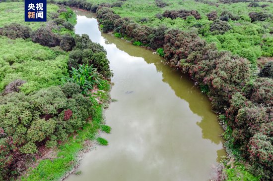 <em>广州海珠</em>国家湿地公园成功列入国际重要湿地名录