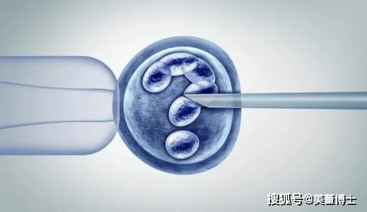 上海瑞金医院陈骞医生：知否知否，这些试管婴儿的常用术语