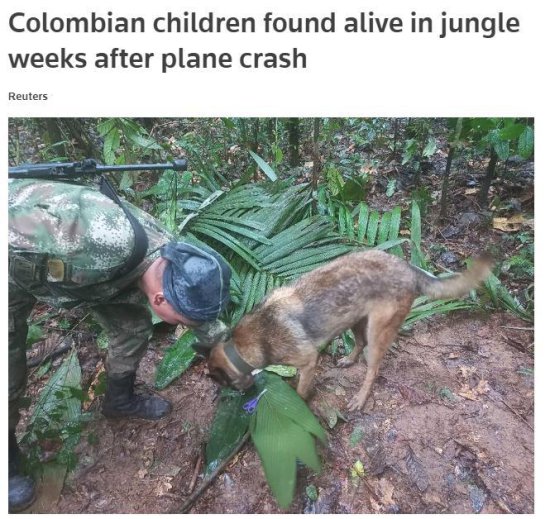 哥伦比亚一飞机失事两周多后，四名儿童丛林中<em>奇迹生还</em>