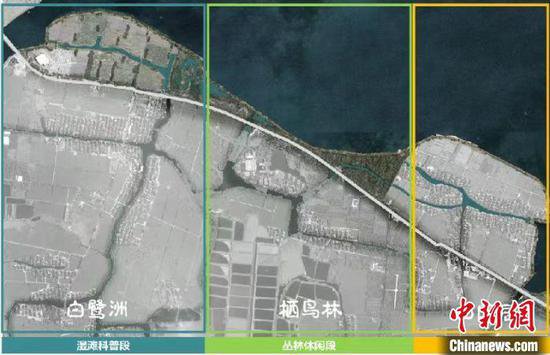 <em>淀山湖</em>堤防达标及岸线生态修复工程（二期）开工