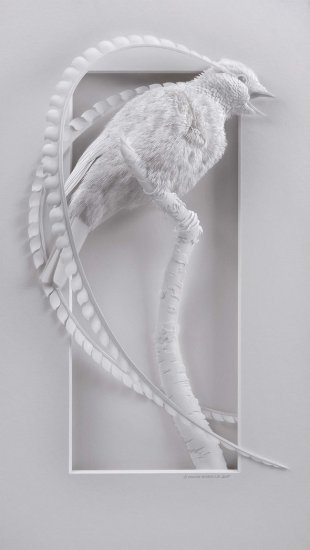 加拿大艺术家<em>制作</em>3D纸雕 仿佛动物复活
