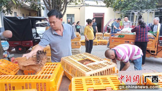 桂林平乐县“阳光助残基地”连年给残疾人送红利