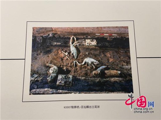 秦始皇帝陵博物院：57件原大仿真青铜水禽亮相