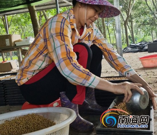 苏剑程：发展现代循环农业 助力乡村产业振兴