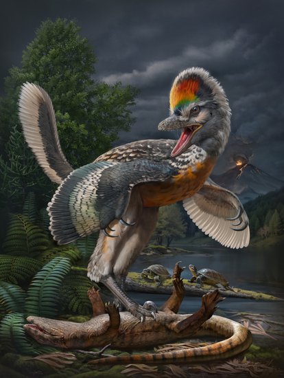 远古发现丨福建首次发现<em>恐龙</em>化石 奇异福建龙填补鸟类起源的部分...
