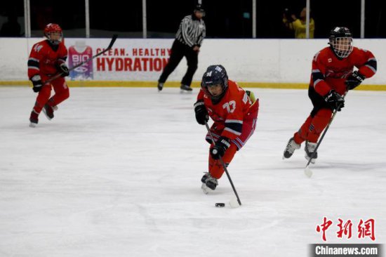 加拿大多伦多华人<em>体育机构</em>举办“未来之星”青少年冰球赛