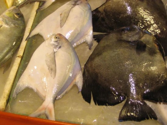 沿海地区<em>很多鱼</em>被叫做鲳鱼，最常见的就是金鲳和银鲳了，一般...