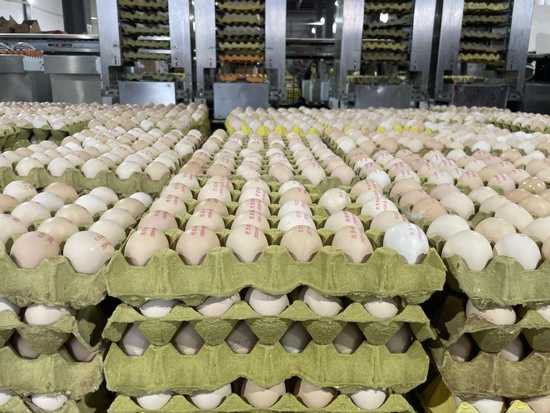 一年能<em>卖</em>20亿颗蛋的“湖北蛋王”加盟淘工厂，一天热销120万颗...