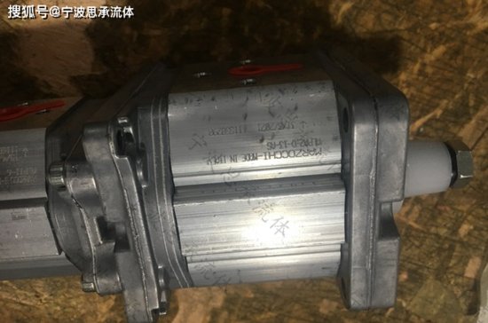 MARZOCCHI马祖奇齿轮泵ALP3-D-50