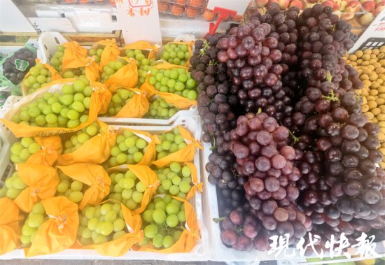 南京8月<em>葡萄</em>香，巨峰、阳光玫瑰等<em>品种</em>高甜热卖