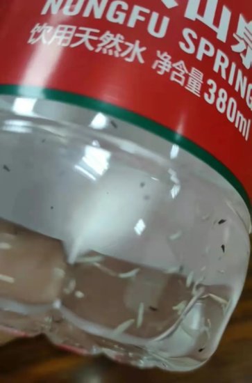 <em>农夫山泉</em>被曝未开封瓶装水中有蛆虫 包装水对收入贡献率超60%