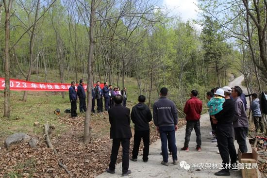林管局开展林业科技惠农服务活动进新华镇