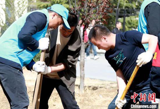 西藏拉萨：植树添新绿 不负好时光