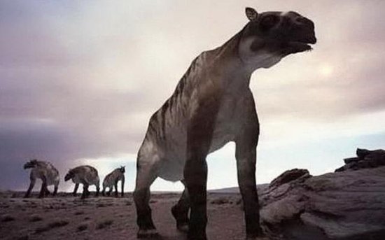 500万年前就灭绝的驴头<em>狼</em>，却在神农架被目击，远古生物再复活...