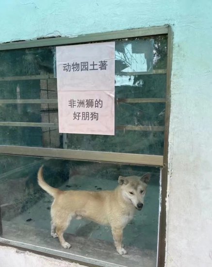 衡阳市动物园回应“货不对板”争议：<em>鸡</em>是观赏禽，狗是收养的...