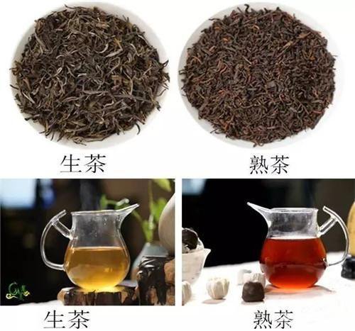 熟茶与生茶的，<em>主要有什么区别</em>？看完涨知识了！