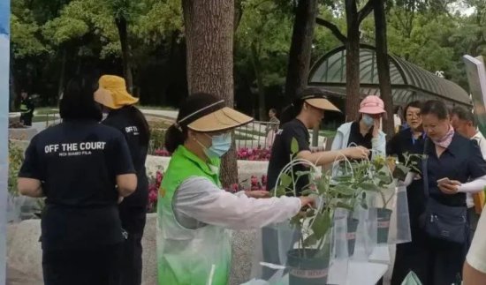 中山公园向市民免费送花