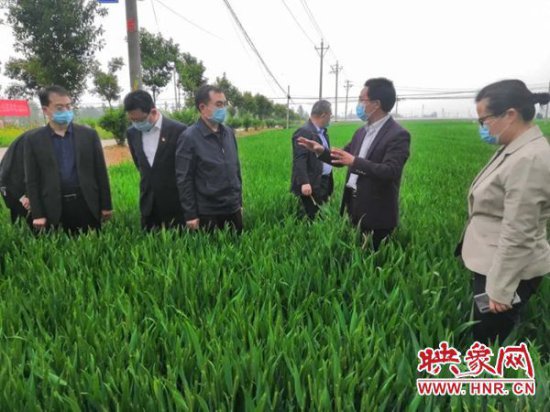 省农业农村厅党组成员 副厅长赵耕到商丘市调研农业生产工作