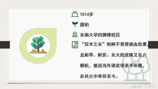 从南京1410株古树名木看<em>什么样的树</em>可以活过千年？