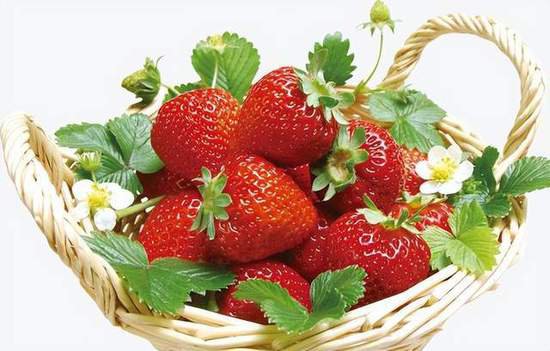 提升<em>草莓种植效益</em>的绿色防控生产技术