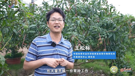 <em>王松</em>标：为芒果家族添“新员”，做热带农业“排头兵”