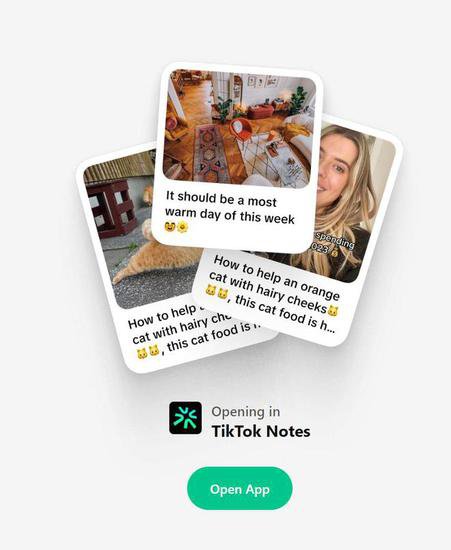 TikTok确认正开发新App：有点像小红书 要抢扎克伯格生意