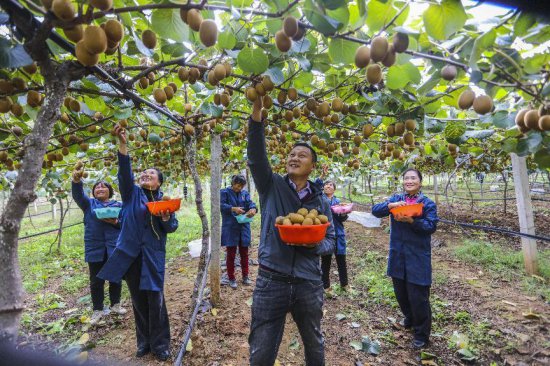 河南西峡：强化乡村振兴人才支撑 山区农民吃上“<em>技术</em>饭”