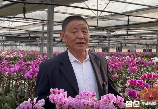 潍坊市花卉科普大使王珉芝：在花卉领域，我们一定要有自己的...