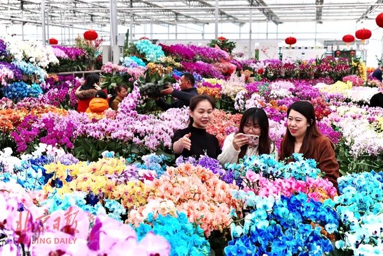 京城年味：北京<em>丰台</em>七大花卉市场准备好了！