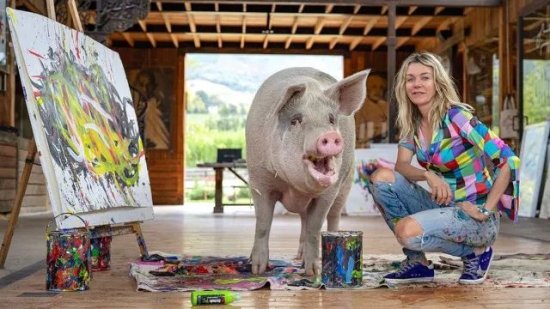 会画画的小猪新作卖出历史高价，堪称动物界的毕加索