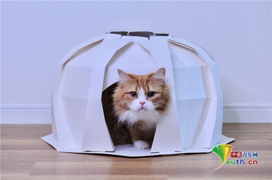 日本公司为猫狗设计折纸屋