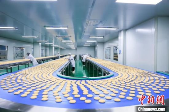 江西瑞昌：小鸭蛋孵出亿元产业 助力乡村振兴