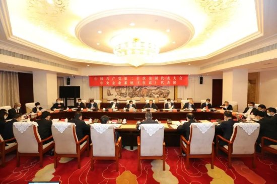 中央企业系统（在京）代表团认真讨论中央纪委工作报告、党章...