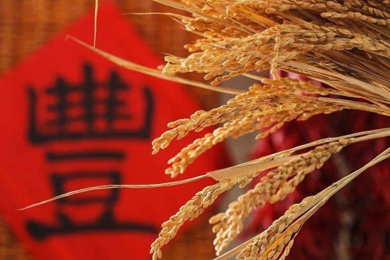 第三个“中国农民丰收节”到来之际，江苏省委书记娄勤俭发表...