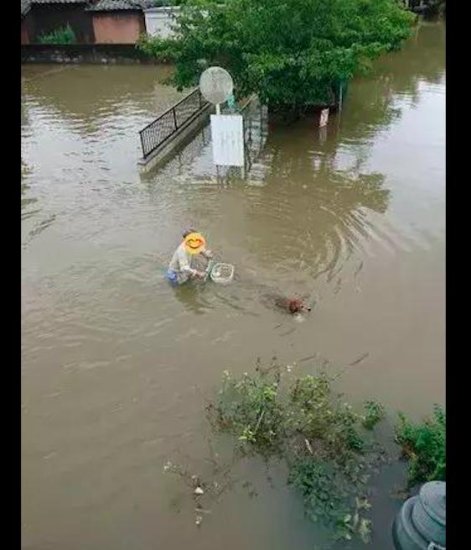 <em>路面</em>都被<em>水淹</em>了，老爷爷还坚持骑着自行车去遛狗，太有勇气了！