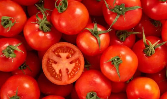 番茄自然成熟，如何挑选，番茄适合什么人群吃，<em> 能美白吗</em>？