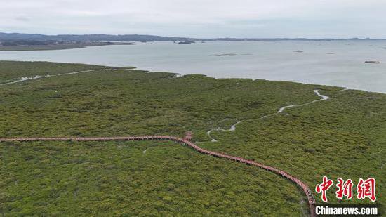 <em>北仑</em>河口国家级自然保护区多措并举守护“海洋绿肺”