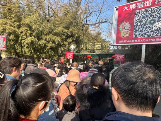 排队<em>看熊猫</em>、买龙年文创……北京动物园人气不减