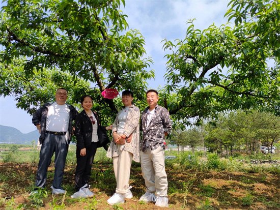 @所有人，快来永乐石塘村认养桃树，一起体验田园生活 享受种植...