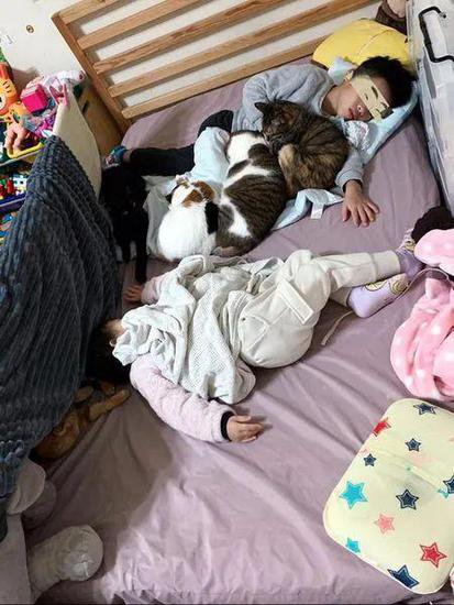 儿子睡觉<em>梦到鬼压床</em>，妈：那不是梦，是3只胖猫压的！