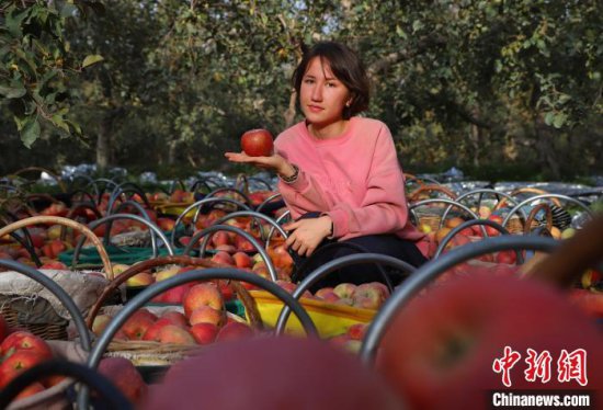 世界广泛种植的<em>苹果</em>何以在新疆阿克苏独一无二？