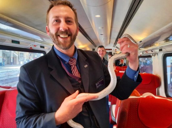 近1米长<em>的蛇</em>被带上英国火车 引发车上人员恐慌