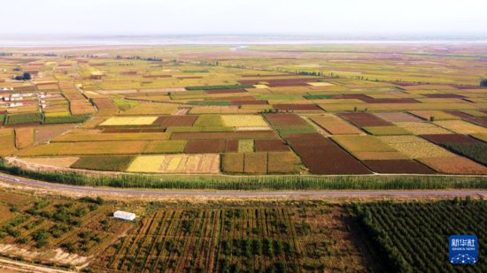 内蒙古：36个农牧业产业园带动<em>农牧</em>户增收