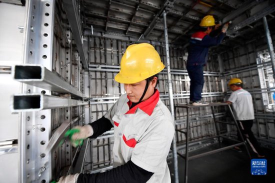河北文安：人造板产业聚链成群加速崛起