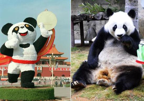 深读 | 1990年的《亚洲雄风》、熊猫“盼盼”……这些场景你还...