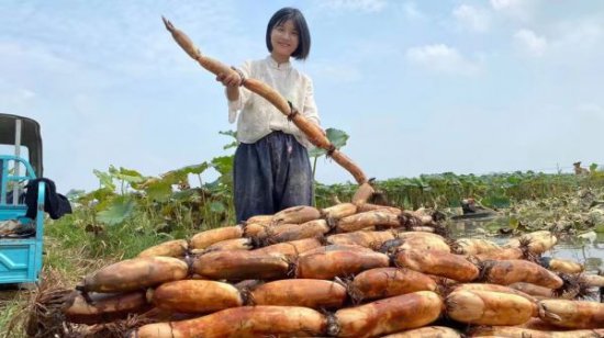 “从一人到众人”，联合国新闻关注中国农业的数字转型