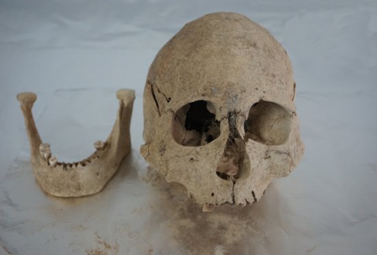 古DNA研究揭示5100年来青藏高原人群演化历史